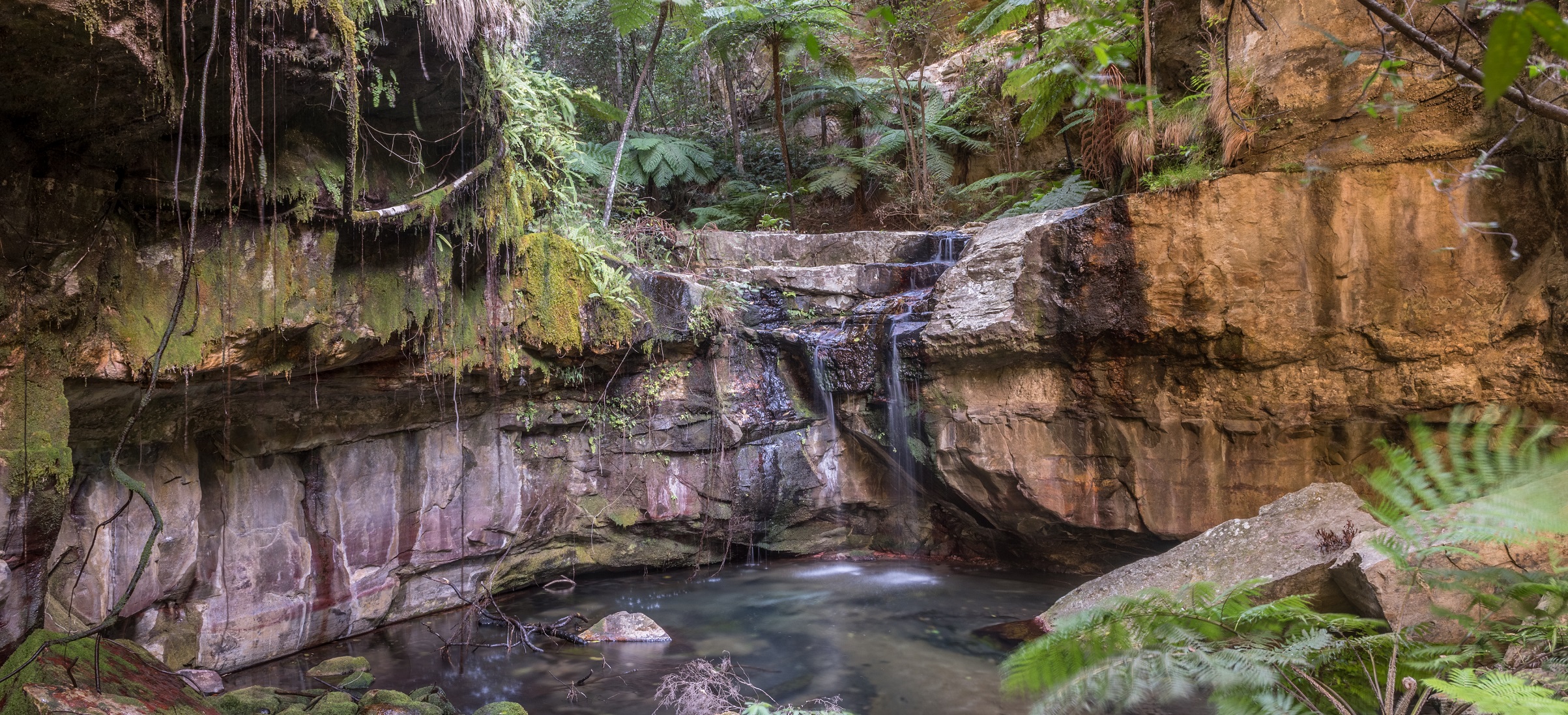 Carnarvon Gorge - Central Highlands Queensland